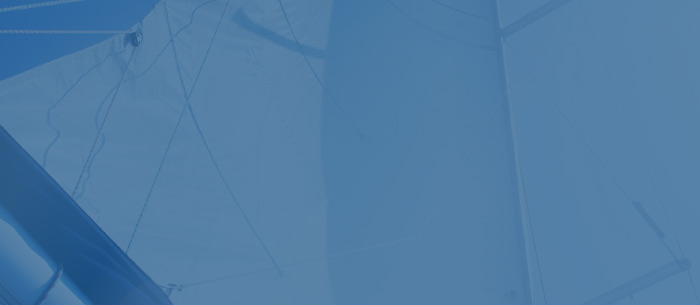 Defining Behavioural Segmentation with 7 Examples