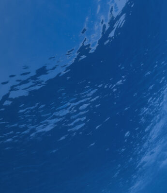 Capturing and Communicating Marketing ROI and Value