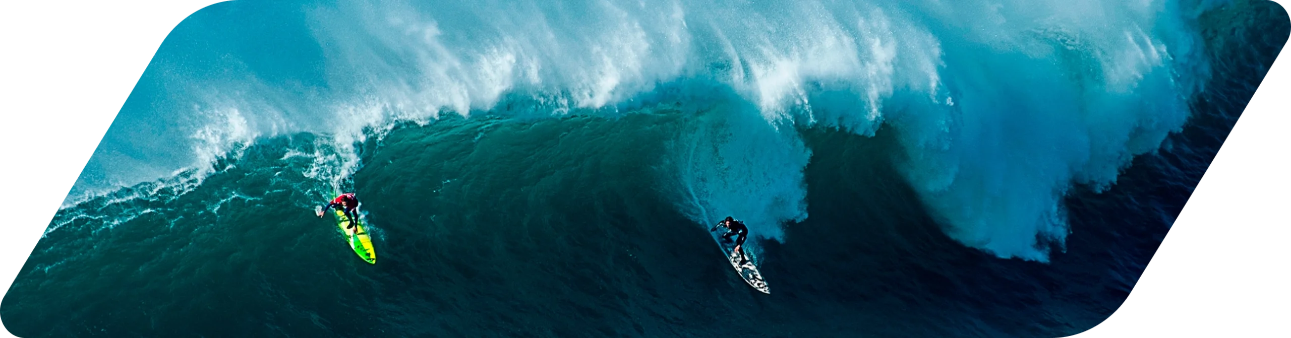 MARKETING EXECUTIVES