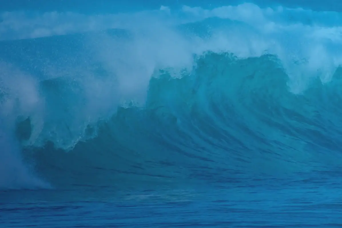 Why Demand Generation Generates Better ROI than Lead Lists